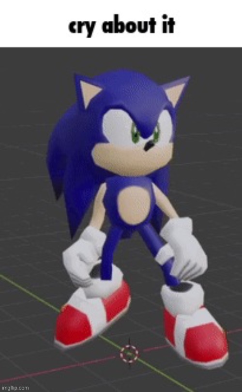 Sonic cry about it | image tagged in sonic cry about it | made w/ Imgflip meme maker