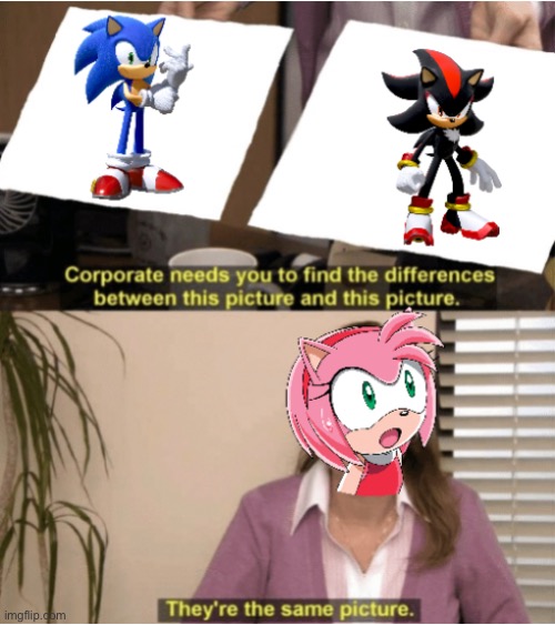 image tagged in sonic the hedgehog,shadow the hedgehog,amy rose,they're the same picture | made w/ Imgflip meme maker