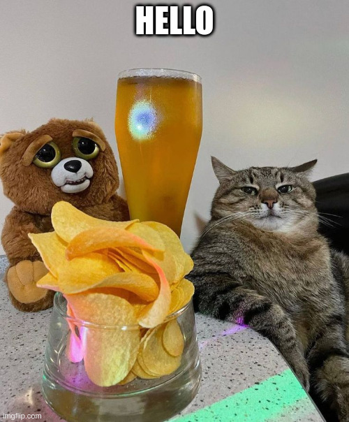 Weekend | HELLO | image tagged in stepan the cat from ukraine,beer,chips,fast food,alcohol | made w/ Imgflip meme maker