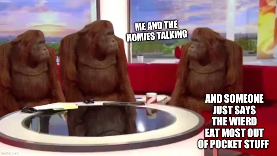 where monkey | ME AND THE HOMIES TALKING; AND SOMEONE JUST SAYS THE WIERD EAT MOST OUT OF POCKET STUFF | image tagged in where monkey | made w/ Imgflip meme maker