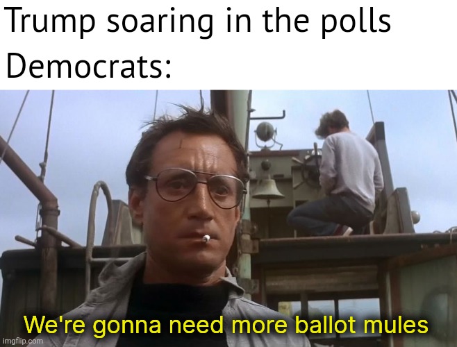 The cheating will be much worse I believe. | Trump soaring in the polls; Democrats:; We're gonna need more ballot mules | image tagged in going to need a bigger boat | made w/ Imgflip meme maker