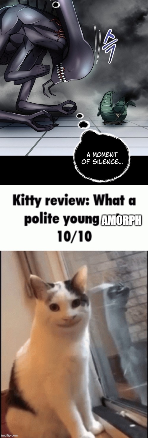 AMORPH | made w/ Imgflip meme maker