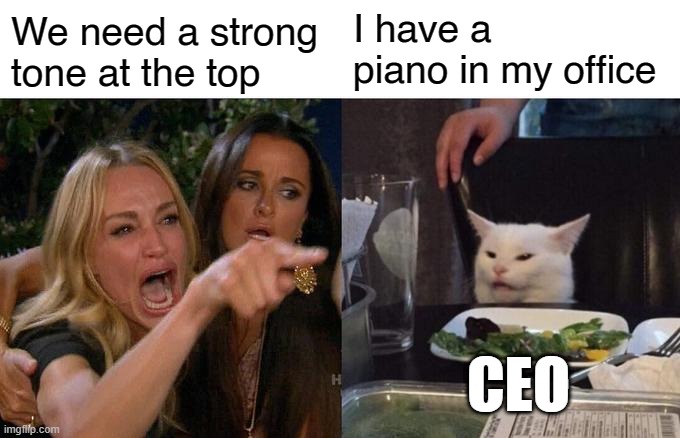 Woman Yelling At Cat Meme | I have a piano in my office; We need a strong tone at the top; CEO | image tagged in memes,woman yelling at cat | made w/ Imgflip meme maker