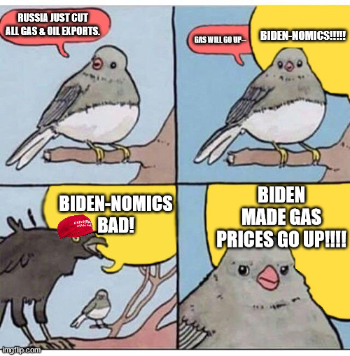 annoyed bird | RUSSIA JUST CUT ALL GAS & OIL EXPORTS. BIDEN-NOMICS!!!!! GAS WILL GO UP--; BIDEN MADE GAS PRICES GO UP!!!! BIDEN-NOMICS BAD! | image tagged in annoyed bird | made w/ Imgflip meme maker