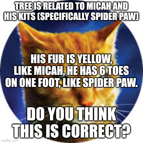 TREE IS RELATED TO MICAH AND HIS KITS (SPECIFICALLY SPIDER PAW); HIS FUR IS YELLOW, LIKE MICAH, HE HAS 6 TOES ON ONE FOOT, LIKE SPIDER PAW. DO YOU THINK THIS IS CORRECT? | made w/ Imgflip meme maker