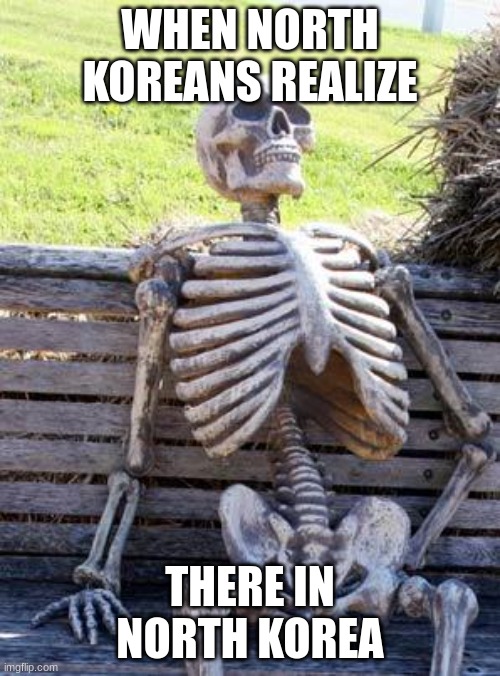 Waiting Skeleton | WHEN NORTH KOREANS REALIZE; THERE IN NORTH KOREA | image tagged in memes,waiting skeleton | made w/ Imgflip meme maker