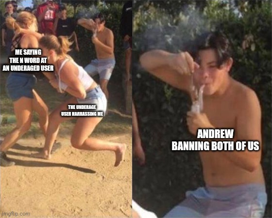 Two girls fighting | ME SAYING THE N WORD AT AN UNDERAGED USER; THE UNDERAGE USER HARRASSING ME; ANDREW BANNING BOTH OF US | image tagged in two girls fighting | made w/ Imgflip meme maker