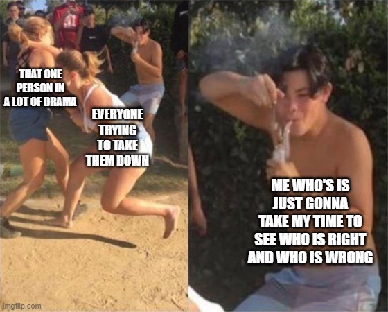 Two girls fighting | THAT ONE PERSON IN A LOT OF DRAMA; EVERYONE TRYING TO TAKE THEM DOWN; ME WHO'S IS JUST GONNA TAKE MY TIME TO SEE WHO IS RIGHT AND WHO IS WRONG | image tagged in two girls fighting | made w/ Imgflip meme maker