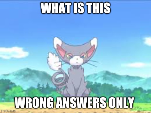 Glameow | WHAT IS THIS; WRONG ANSWERS ONLY | image tagged in glameow | made w/ Imgflip meme maker