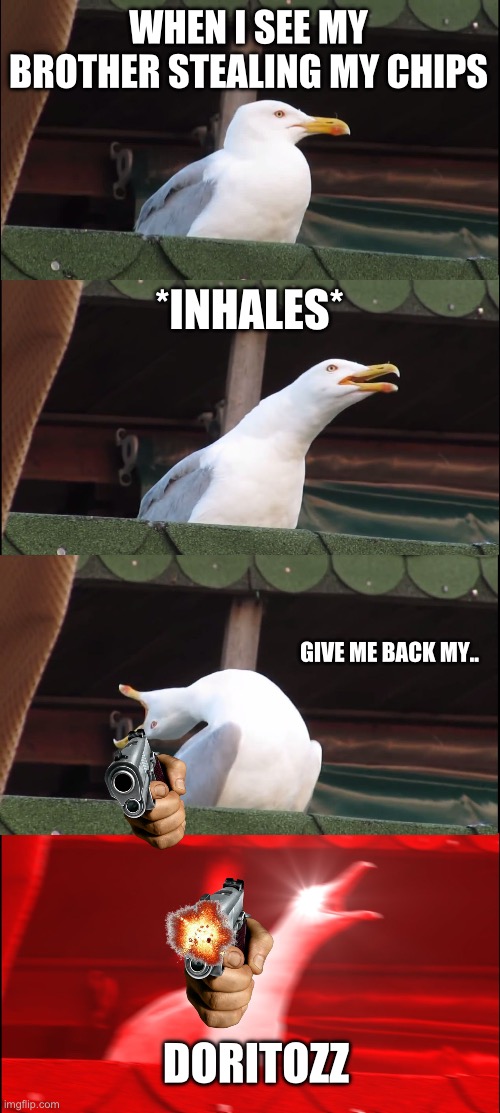 dorito bird >:( | WHEN I SEE MY BROTHER STEALING MY CHIPS; *INHALES*; GIVE ME BACK MY.. DORITOZZ | image tagged in memes,inhaling seagull | made w/ Imgflip meme maker