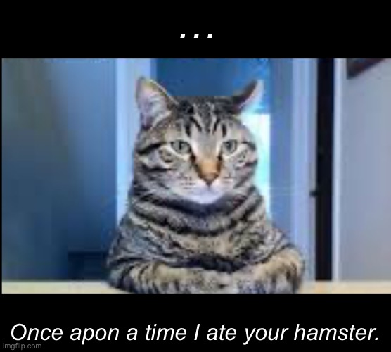 Once apon a time | …; Once apon a time I ate your hamster. | image tagged in memes,cat | made w/ Imgflip meme maker