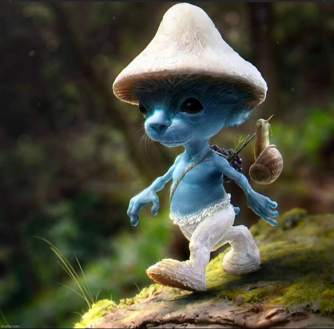 Blue Smurf Cat | image tagged in blue smurf cat | made w/ Imgflip meme maker