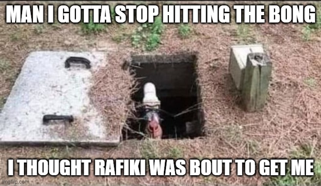Hit That Pipe | MAN I GOTTA STOP HITTING THE BONG; I THOUGHT RAFIKI WAS BOUT TO GET ME | image tagged in funny,meme,fake image | made w/ Imgflip meme maker