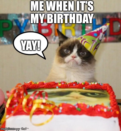 It’s not my birthday today, but this is how I feel when it’s my birthday | ME WHEN IT’S MY BIRTHDAY; YAY! | image tagged in memes,grumpy cat birthday,grumpy cat | made w/ Imgflip meme maker