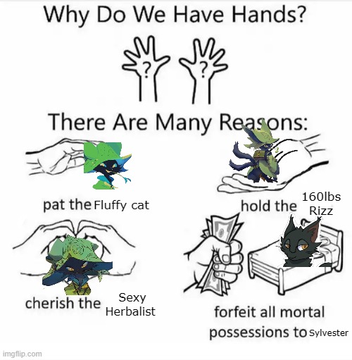 Why do we have hands? (all blank) | Fluffy cat; 160lbs Rizz; Sexy Herbalist; Sylvester | image tagged in why do we have hands all blank | made w/ Imgflip meme maker