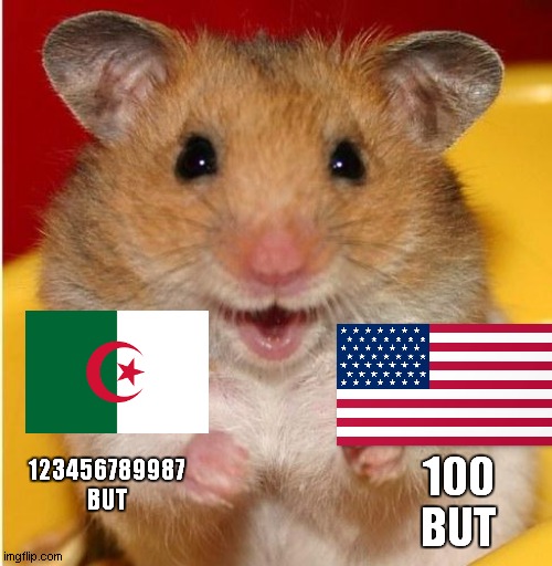 woldr cup ( 2042 ) hamster ok smile algeria vs usa (part 3 ) | 100
BUT; 123456789987
BUT | image tagged in hamster | made w/ Imgflip meme maker
