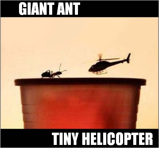 You Decide ! | GIANT ANT; TINY HELICOPTER | image tagged in you decide,giant,ant,tiny,helicopter | made w/ Imgflip meme maker