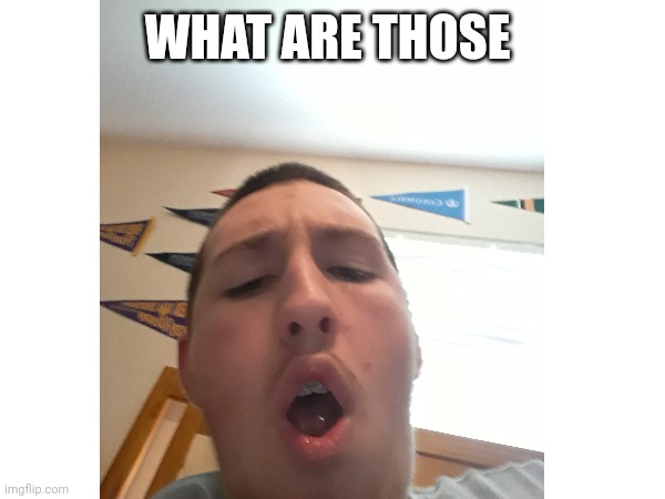 WHAT ARE THOSE | made w/ Imgflip meme maker