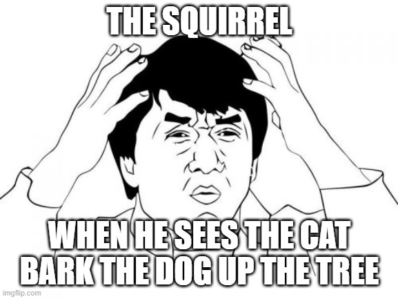 that's not right | THE SQUIRREL; WHEN HE SEES THE CAT BARK THE DOG UP THE TREE | image tagged in memes,jackie chan wtf | made w/ Imgflip meme maker