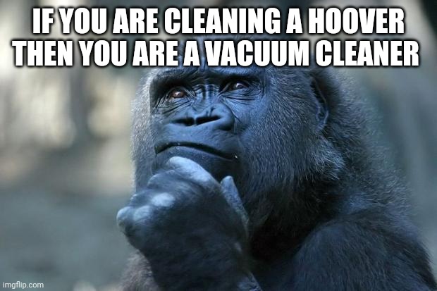 Deep Thoughts | IF YOU ARE CLEANING A HOOVER THEN YOU ARE A VACUUM CLEANER | image tagged in deep thoughts | made w/ Imgflip meme maker