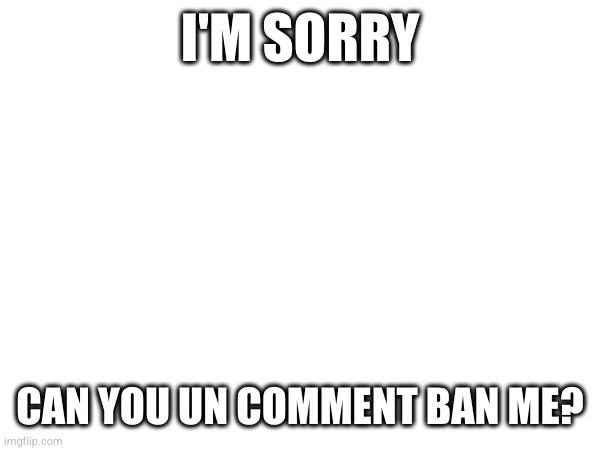 I'M SORRY; CAN YOU UN COMMENT BAN ME? | made w/ Imgflip meme maker