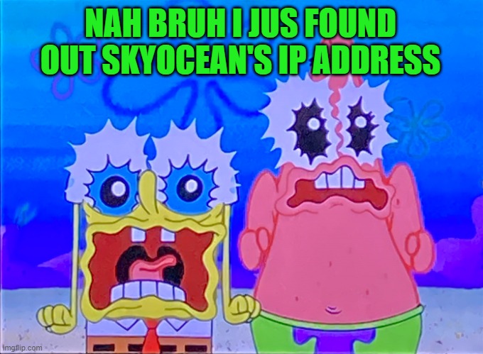 Scare spongboob and patrichard | NAH BRUH I JUS FOUND OUT SKYOCEAN'S IP ADDRESS | image tagged in scare spongboob and patrichard | made w/ Imgflip meme maker