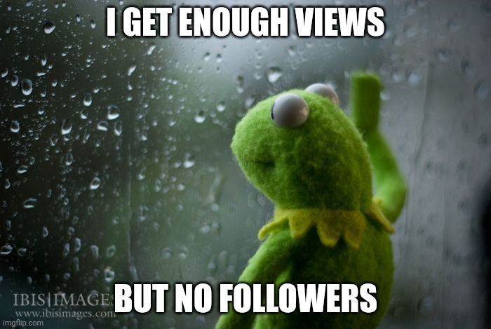 I'm sad | I GET ENOUGH VIEWS; BUT NO FOLLOWERS | image tagged in kermit window | made w/ Imgflip meme maker