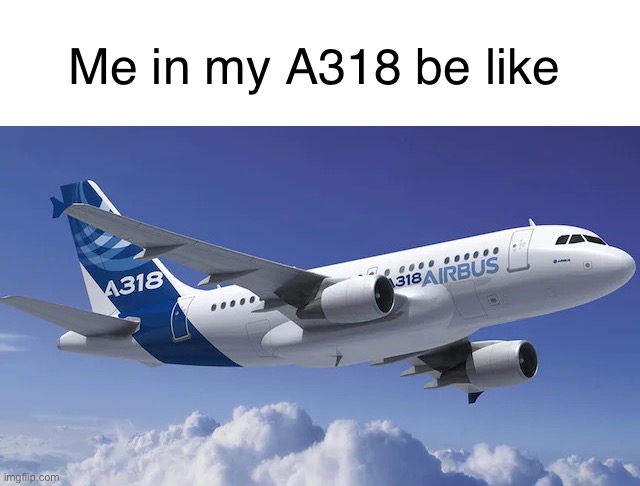 A318 is my favorite commercial aircraft | Me in my A318 be like | image tagged in a318 | made w/ Imgflip meme maker