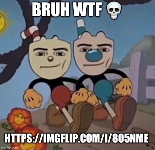 Nahhh | BRUH WTF 💀; HTTPS://IMGFLIP.COM/I/805NME | image tagged in cupblox,memes,funny,fun stream,wtf | made w/ Imgflip meme maker