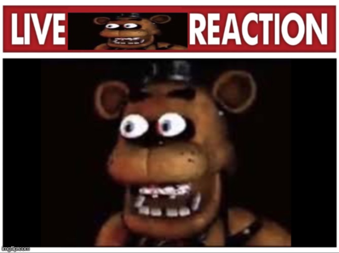Live Freddy fazbear reaction | image tagged in live freddy fazbear reaction | made w/ Imgflip meme maker