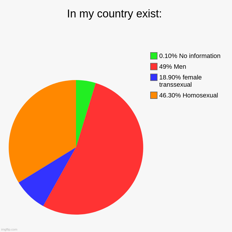 country | In my country exist: | 46.30% Homosexual, 18.90% female transsexual, 49% Men, 0.10% No information | image tagged in charts,pie charts | made w/ Imgflip chart maker