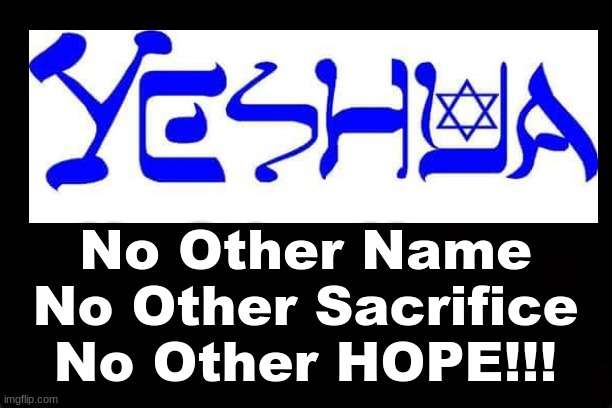YESHUA.....No Other Name..No Other Sacrifice..No Other Hope | No Other Name
No Other Sacrifice
No Other HOPE!!! | image tagged in hope,salvation,name | made w/ Imgflip meme maker