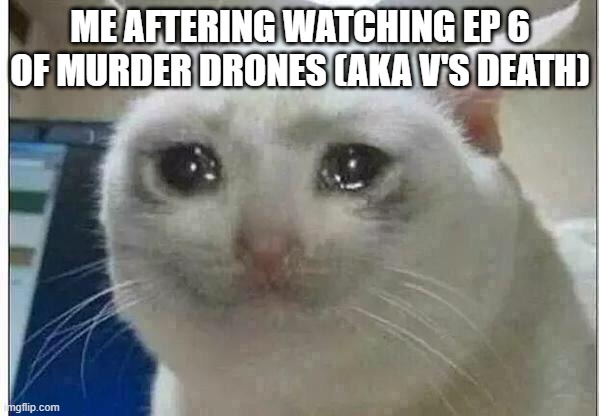V's DEAD?!?! | ME AFTERING WATCHING EP 6 OF MURDER DRONES (AKA V'S DEATH) | image tagged in crying cat,murder drones,ep 6,v | made w/ Imgflip meme maker