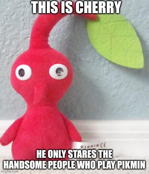 Pikmin | THIS IS CHERRY; HE ONLY STARES THE HANDSOME PEOPLE WHO PLAY PIKMIN | image tagged in pikmin | made w/ Imgflip meme maker