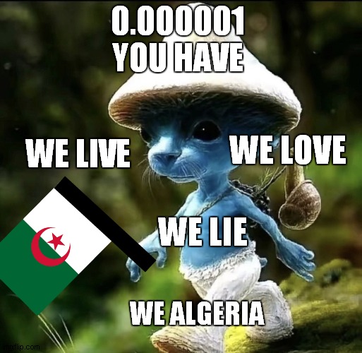 we live we love we lie we algeria | 0.000001 
YOU HAVE; WE LIVE; WE LOVE; WE LIE; WE ALGERIA | image tagged in blue smurf cat | made w/ Imgflip meme maker