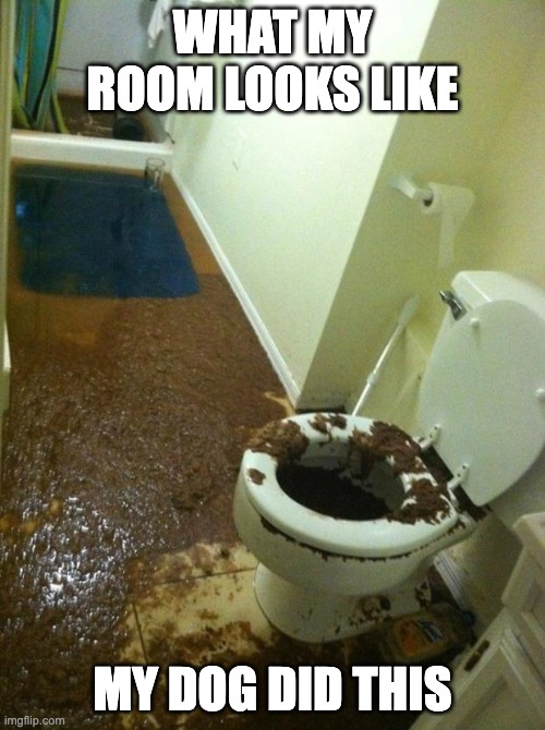 poop | WHAT MY ROOM LOOKS LIKE; MY DOG DID THIS | image tagged in poop | made w/ Imgflip meme maker