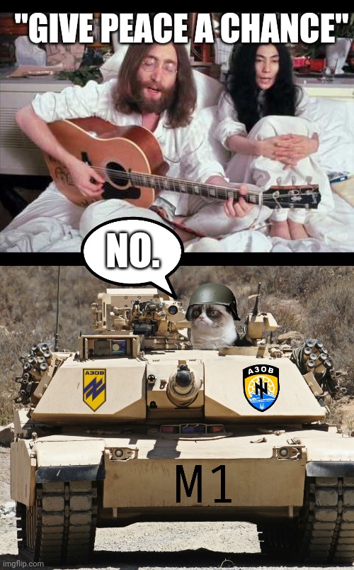 Combat cat | "GIVE PEACE A CHANCE"; NO. | image tagged in grumpy cat,tank,ukraine,russia,war,john lennon | made w/ Imgflip meme maker