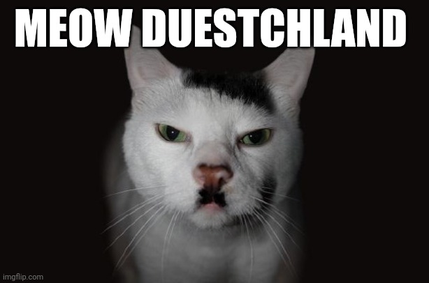 Typo oh well | MEOW DUESTCHLAND | image tagged in kitler | made w/ Imgflip meme maker