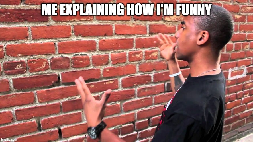 sIgH i JuSt WaNt UpVoTeS | ME EXPLAINING HOW I'M FUNNY | image tagged in talking to wall | made w/ Imgflip meme maker