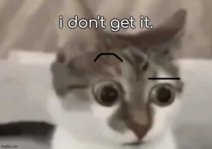 bombastic side eye cat | i don't get it. | image tagged in bombastic side eye cat | made w/ Imgflip meme maker