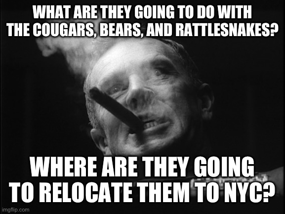 General Ripper (Dr. Strangelove) | WHAT ARE THEY GOING TO DO WITH THE COUGARS, BEARS, AND RATTLESNAKES? WHERE ARE THEY GOING TO RELOCATE THEM TO NYC? | image tagged in general ripper dr strangelove | made w/ Imgflip meme maker