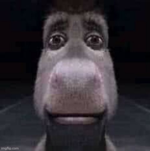 D O N K E.mp3 | image tagged in donkey staring | made w/ Imgflip meme maker
