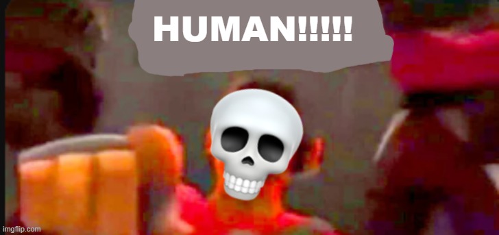 undertale or something i don't know i don't play the game a lot | HUMAN!!!!! | image tagged in tf2 scout pointing | made w/ Imgflip meme maker