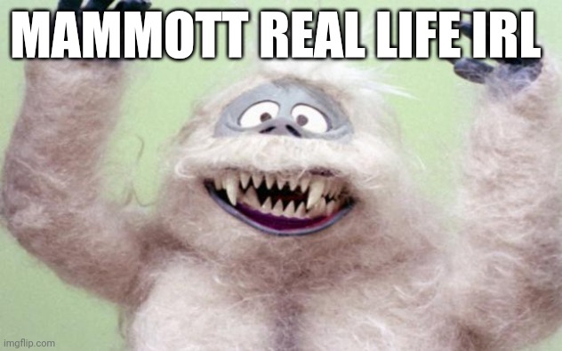 OH MY GOD MAMMOTT IN REAL LIFE | MAMMOTT REAL LIFE IRL | image tagged in yeti,haha yes,shocking,my singing monsters,3am | made w/ Imgflip meme maker