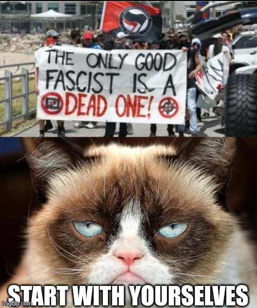 Even Grumpy knows a fascist when he sees one | START WITH YOURSELVES | image tagged in memes,grumpy cat not amused,antifa,communists | made w/ Imgflip meme maker