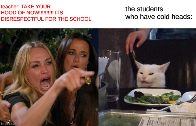 school be like: | teacher: TAKE YOUR HOOD OF NOW!!!!!!!!!! ITS DISRESPECTFUL FOR THE SCHOOL; the students who have cold heads: | image tagged in memes,woman yelling at cat | made w/ Imgflip meme maker