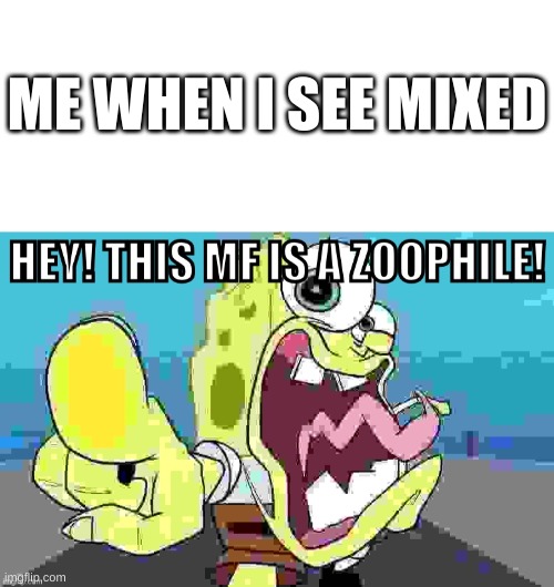 Me when i See Mixed | ME WHEN I SEE MIXED | image tagged in blank white template | made w/ Imgflip meme maker