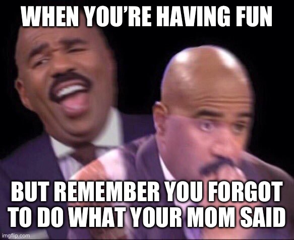 So true | WHEN YOU’RE HAVING FUN; BUT REMEMBER YOU FORGOT TO DO WHAT YOUR MOM SAID | image tagged in steve harvey scared | made w/ Imgflip meme maker
