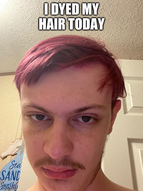 I DYED MY HAIR TODAY | made w/ Imgflip meme maker