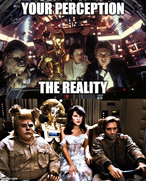 perception v reality | YOUR PERCEPTION; THE REALITY | image tagged in burn,delusional | made w/ Imgflip meme maker